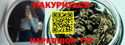 сатива Кандалакша