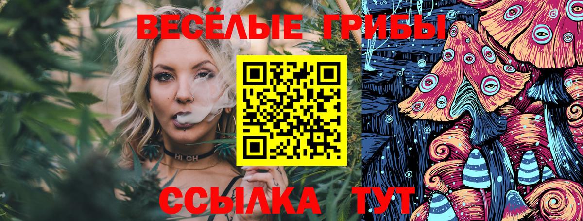 Краснокаменск  Галлюциногенные грибы мухоморы  Вход с VPN 